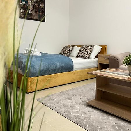 Apartmán Ndl Downtown Kluž Exteriér fotografie