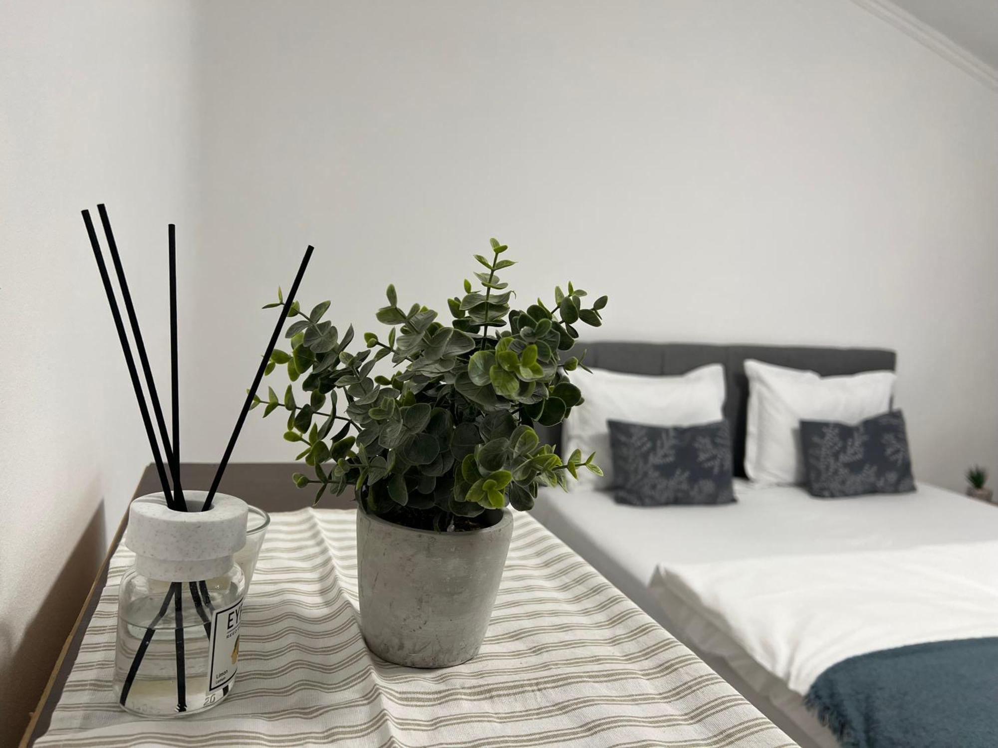 Apartmán Ndl Downtown Kluž Exteriér fotografie